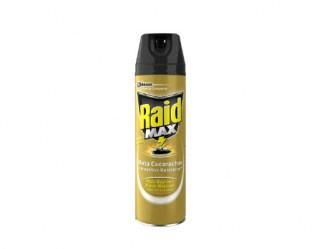 Raid max
